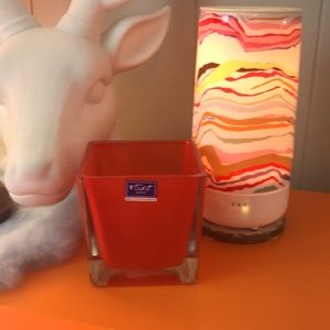 🎯R & B Glass Planter/Candle Holder